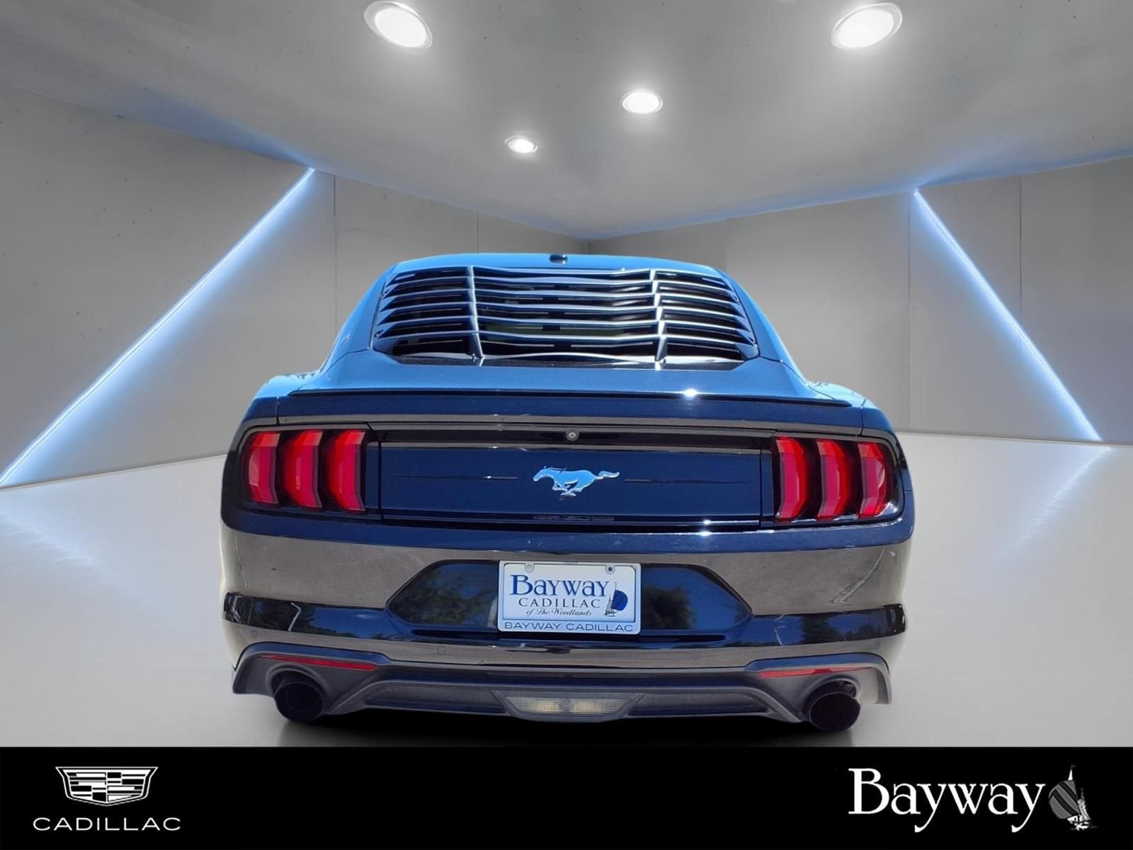 2019 Ford Mustang EcoBoost