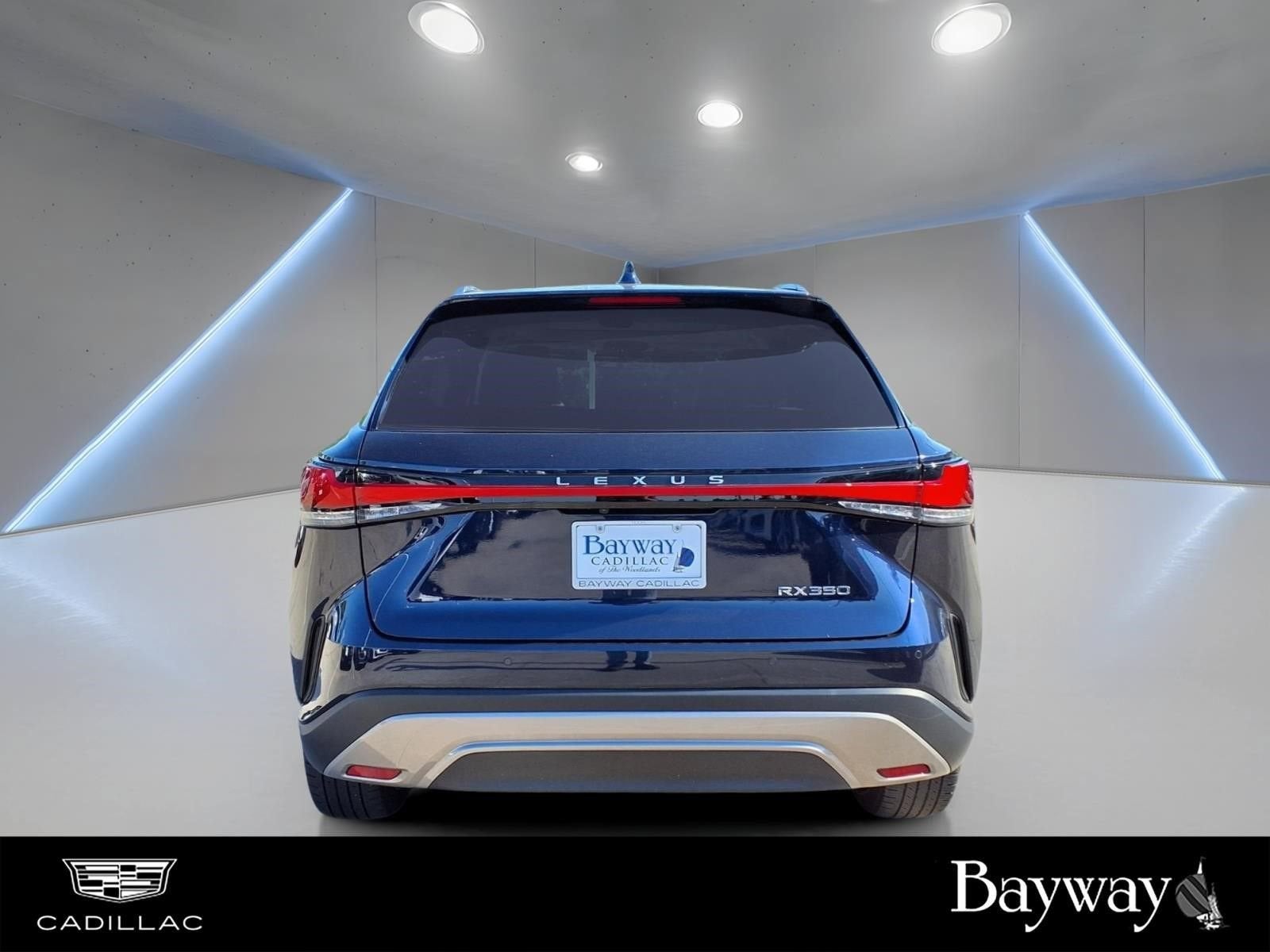 2024 Lexus RX RX 350