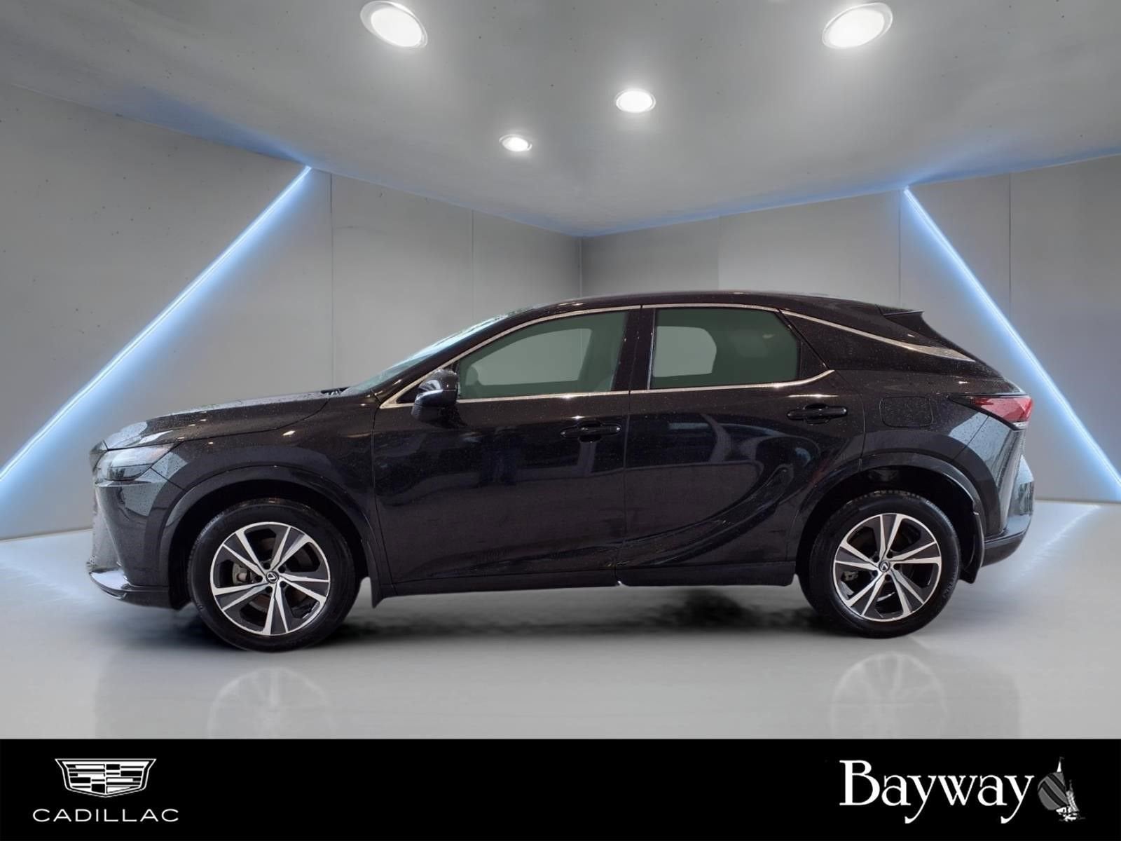 2023 Lexus RX RX 350