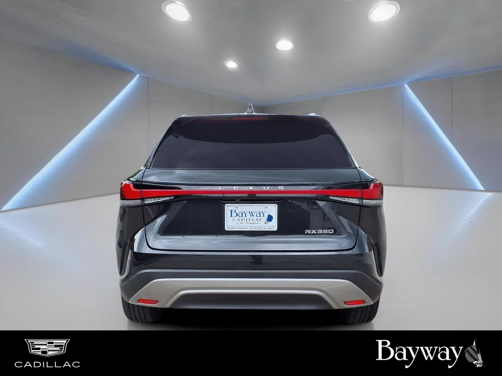 2023 Lexus RX RX 350