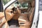 2016 Cadillac Escalade ESV Platinum
