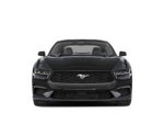 2025 Ford Mustang EcoBoost FASTBACK NITE PONY PKG